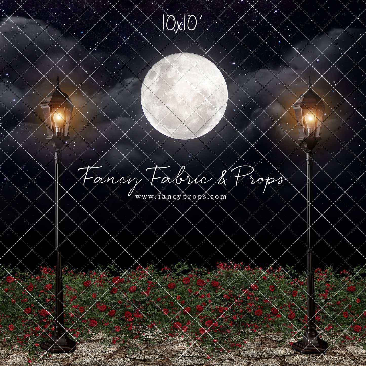 Romantic Moonlit Stroll