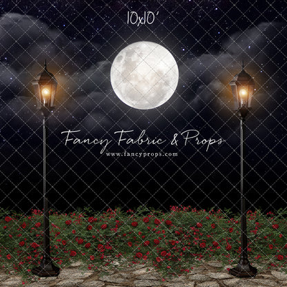 Romantic Moonlit Stroll