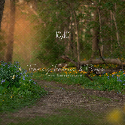 Spring Bluebell Path