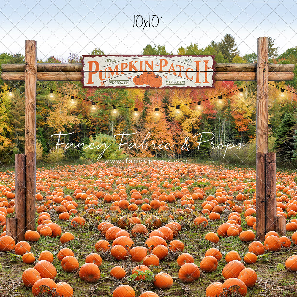 Welcome To The Pumpkin Patch