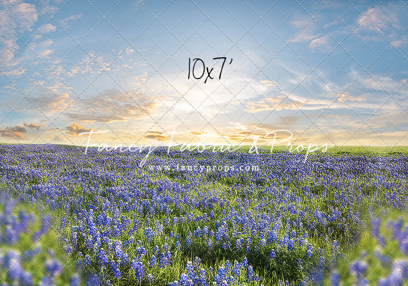 Blue Bonnet Afternoon