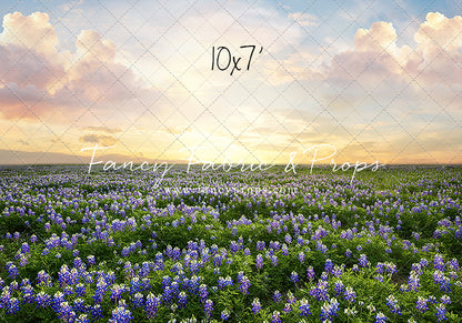 Blue Bonnet Sunrise 2pc Set