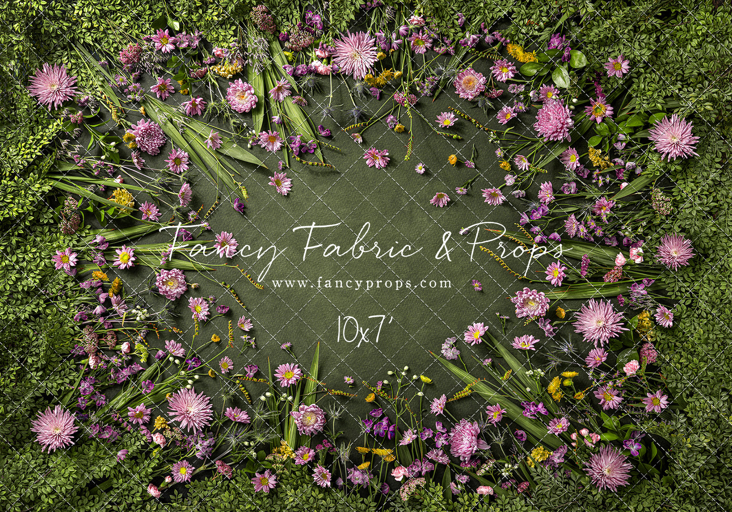 Chrysanthemum Blooms