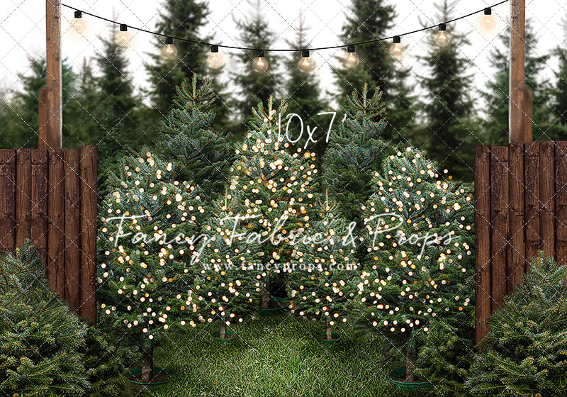 Cut & Carry Tree Farm