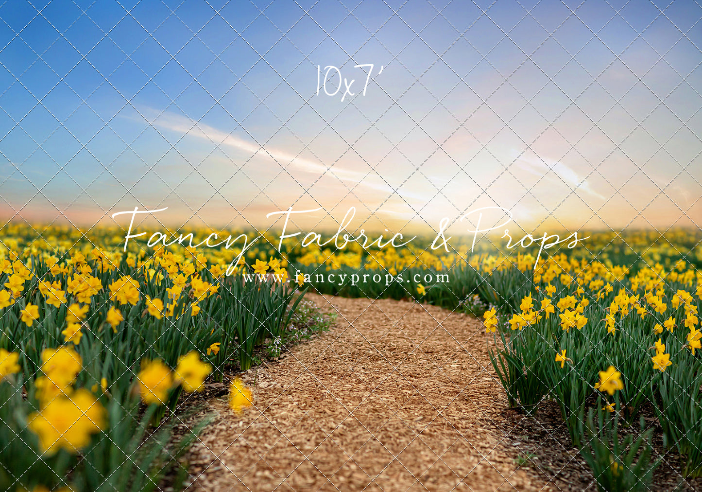 Daffodil Path