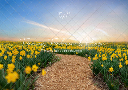 Daffodil Path