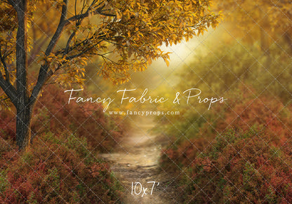 Dreamy Evening Path - With Sweep Option