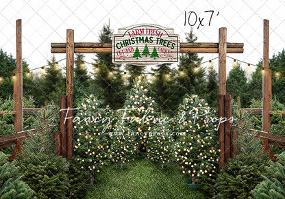 Cut And Carry Tree Farm Room