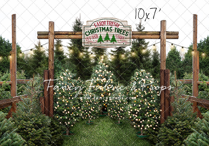 Farm Fresh Christmas Trees