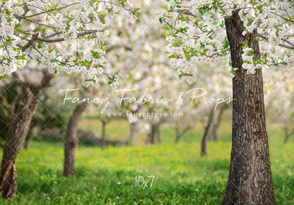 Flowering Forest Trees