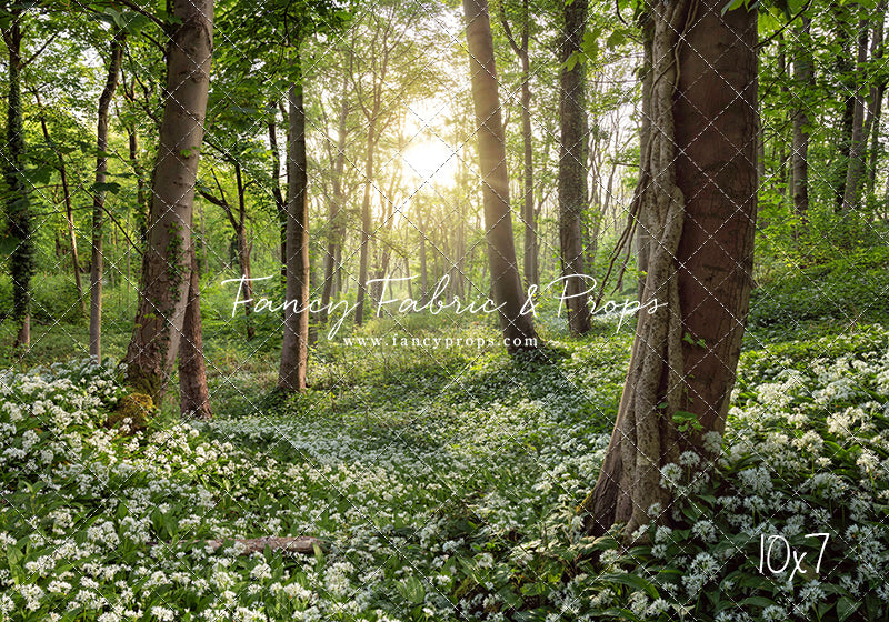 Flowering Forest White Meadow