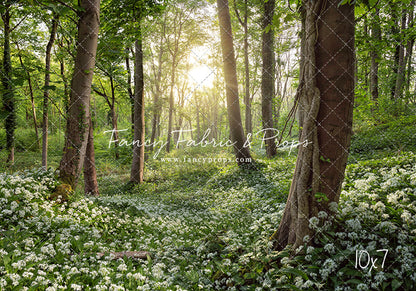 Flowering Forest White Meadow