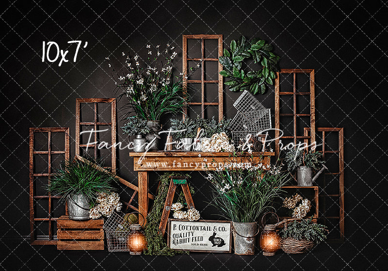 Midnight Cottontail Corner