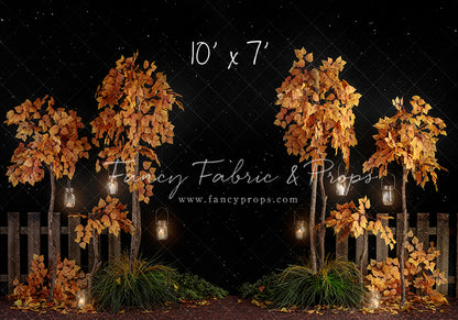 Midnight Fall Forest