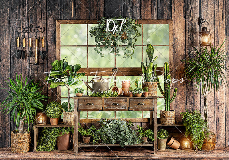 Perfect Plant Paradise Room