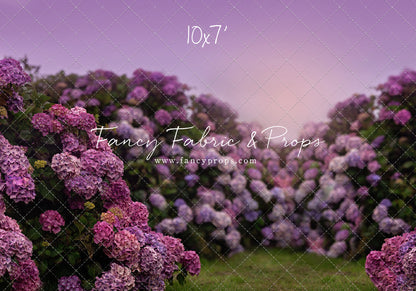 Purple Hydrangea Hollow