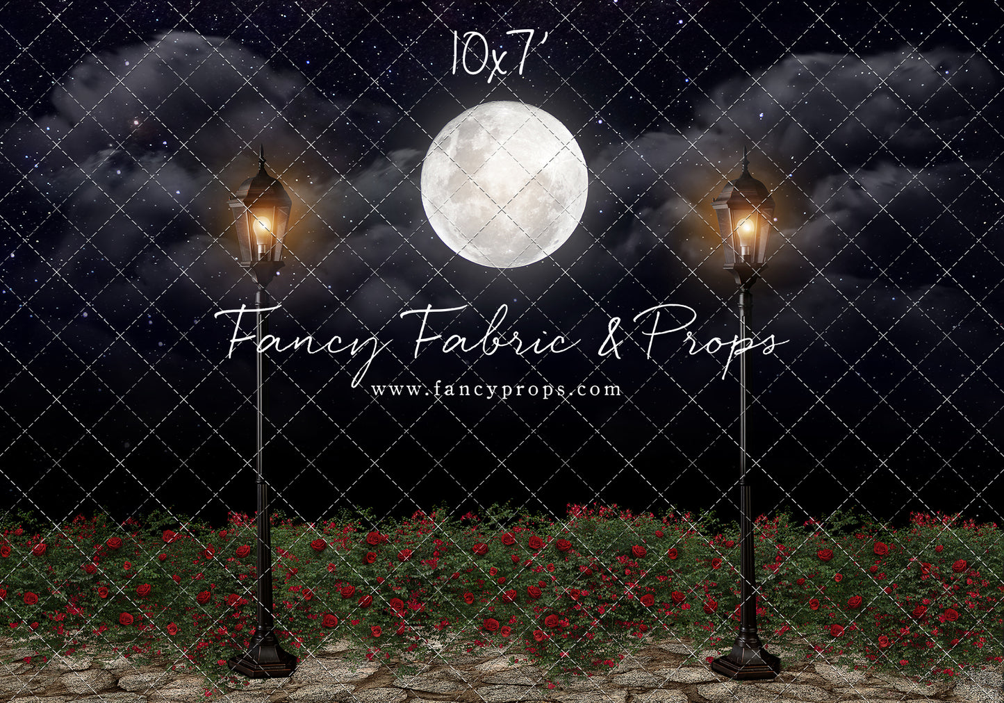 Romantic Moonlit Stroll