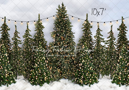 Snowy Tree Farm Open Daily 2pc Room