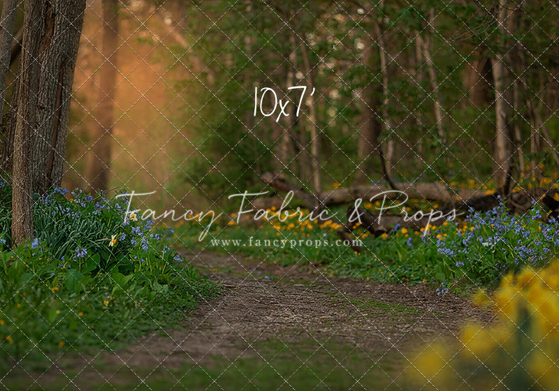 Spring Bluebell Path