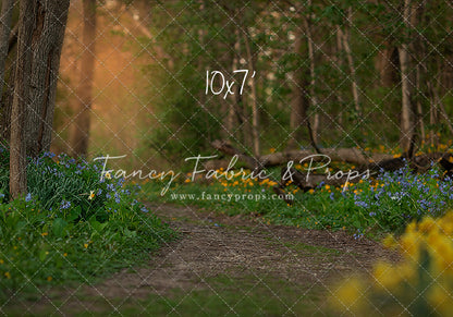 Spring Bluebell Path