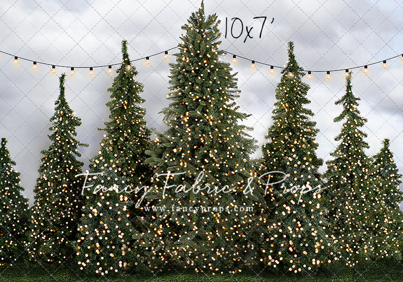 Tree Farm Traditions