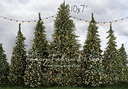 Tree Farm Traditions