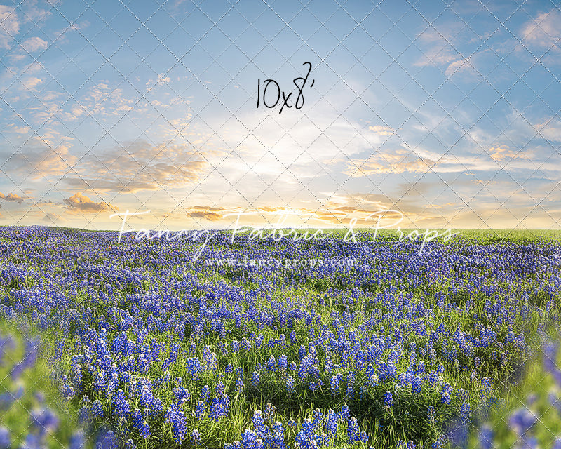 Blue Bonnet Afternoon