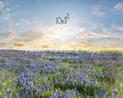 Blue Bonnet Afternoon