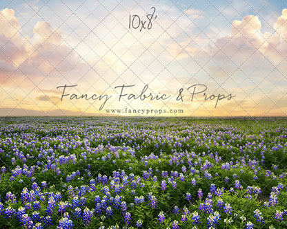 Blue Bonnet Sunrise - With Sweep Option