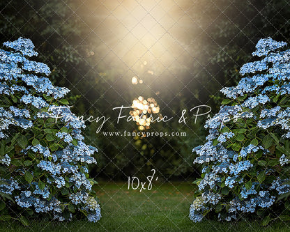 Blue Hydrangea Hideaway