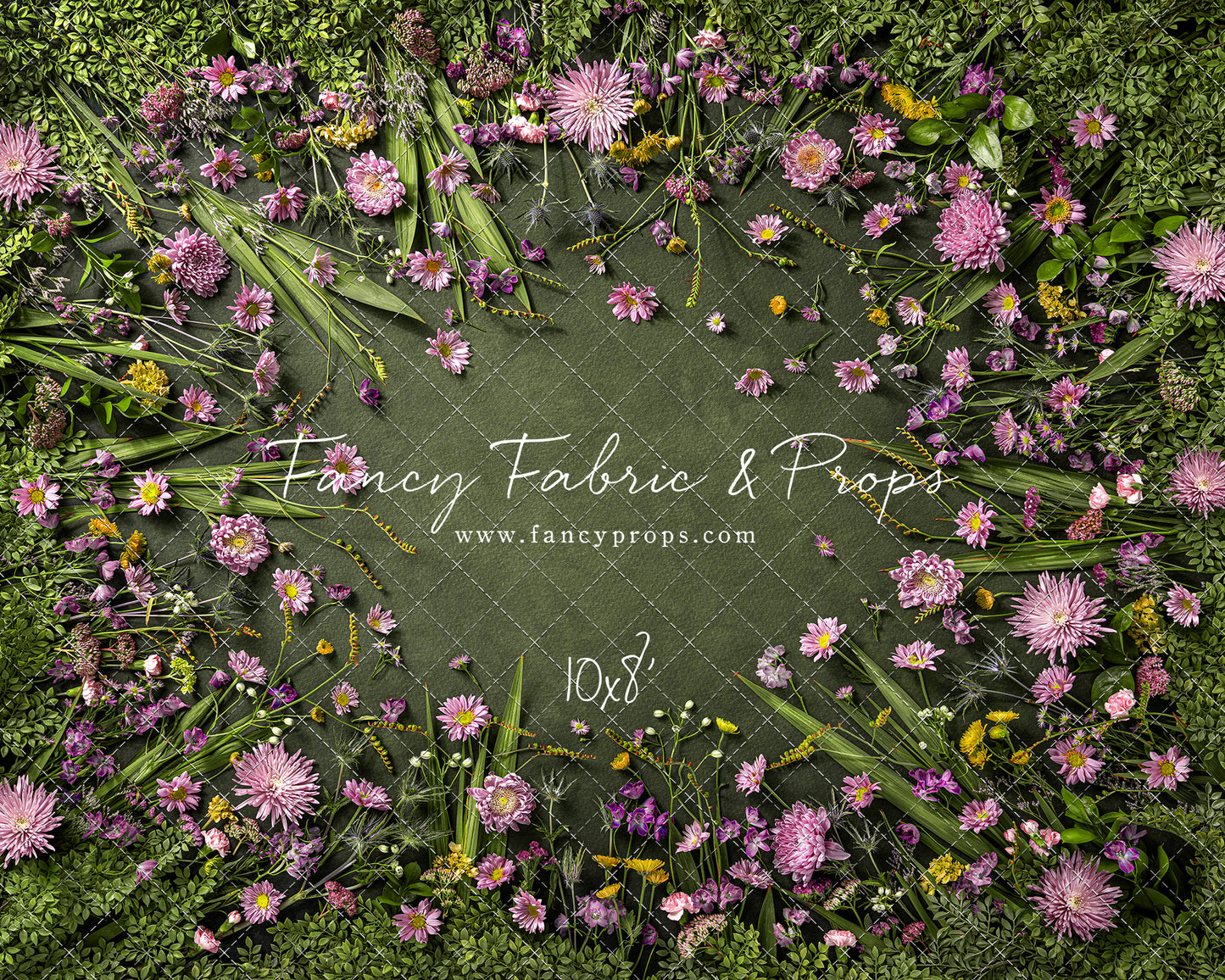 Chrysanthemum Blooms