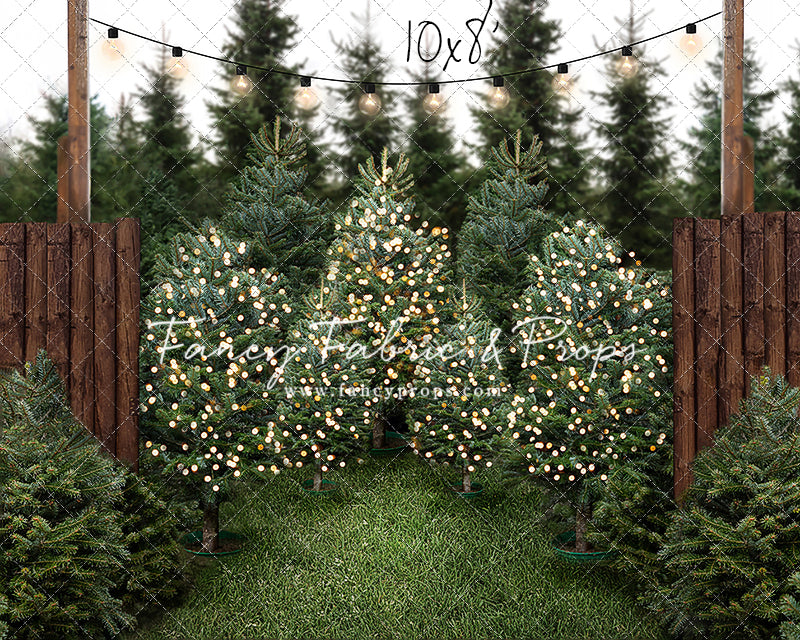 Cut & Carry Tree Farm