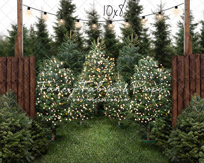 Cut & Carry Tree Farm