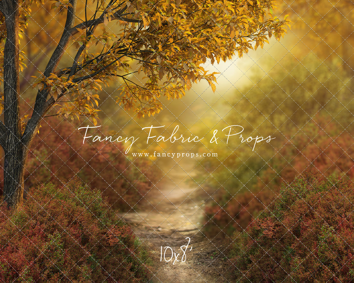 Dreamy Evening Path - With Sweep Option