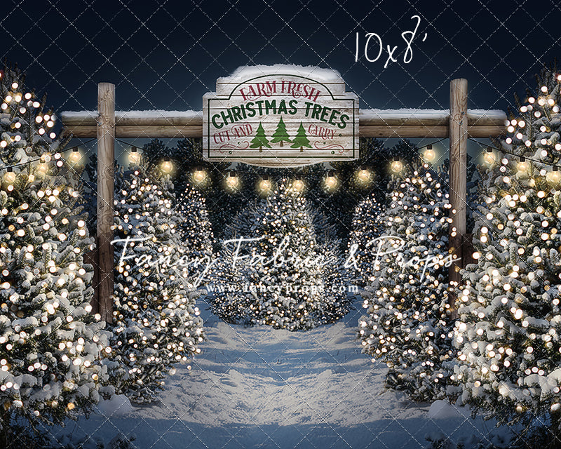 Evening Snowy Tree Farm Room