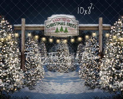 Evening Snowy Tree Farm Room