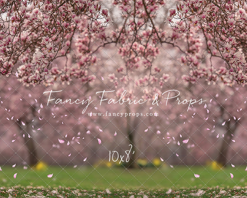 Falling Magnolias