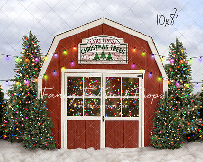 Farm Festive Christmas Trees