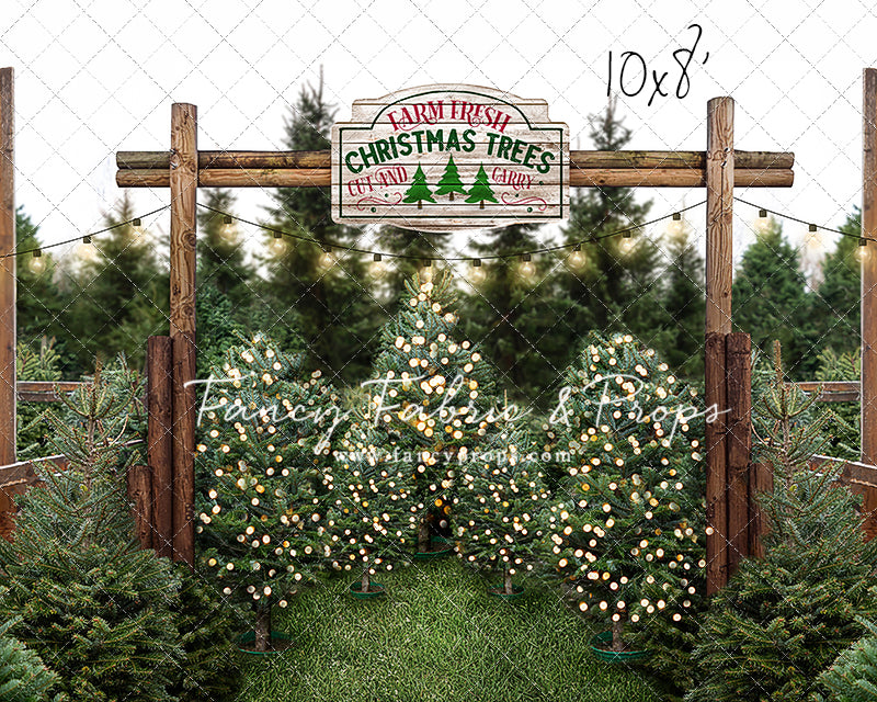 Cut And Carry Tree Farm Room