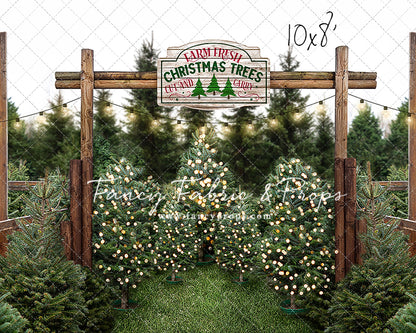 Cut And Carry Tree Farm Room