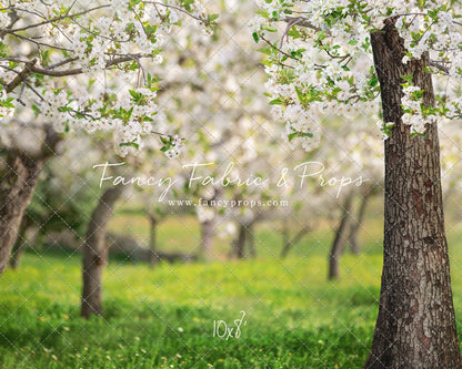 Flowering Forest Trees