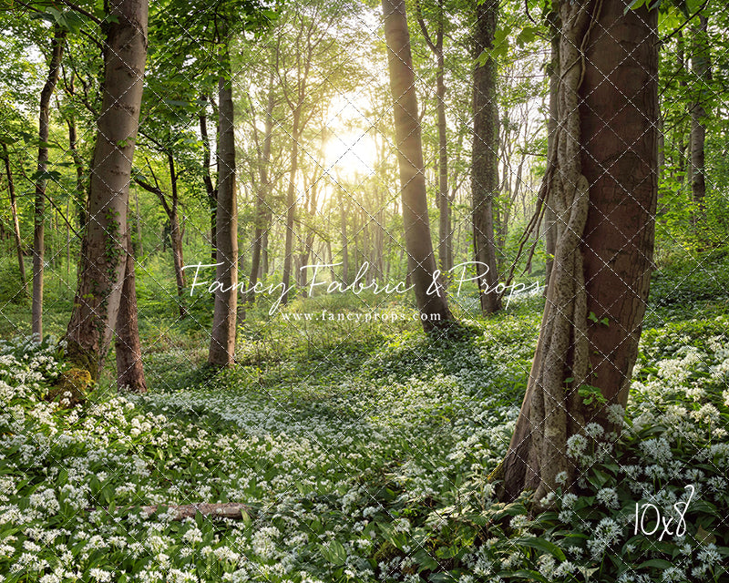 Flowering Forest White Meadow