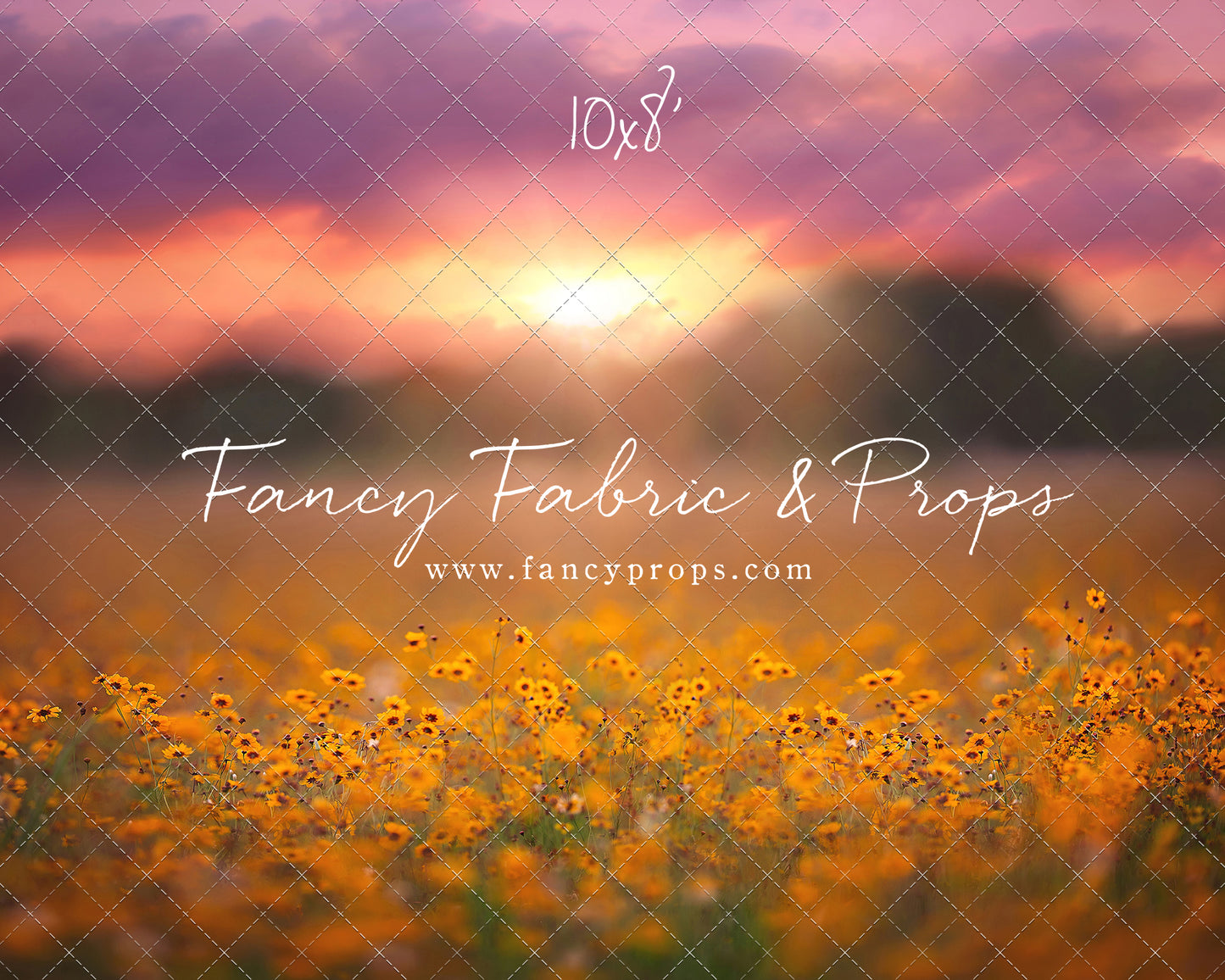 Golden Hour Wildflowers