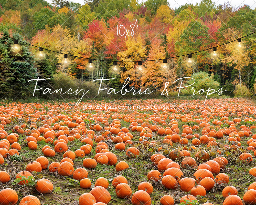 It's Pumpkin Pickin' Time