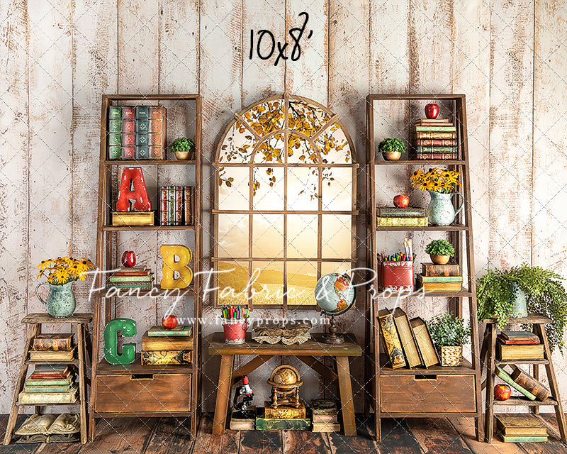 Little Einstein 2 pc Room