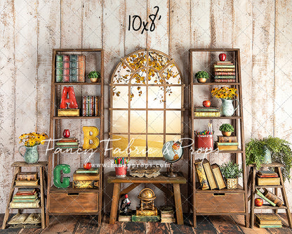 Little Einstein 2 pc Room