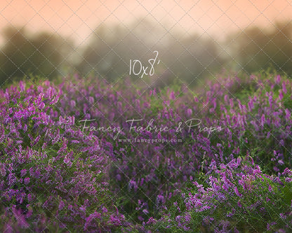 Love In Lavender