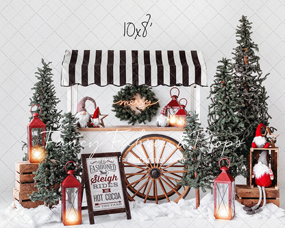 Sleigh Rides For Sale