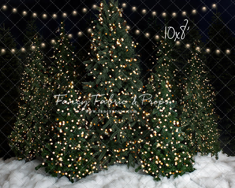 Snowy Christmas At The Barn 2pc Room