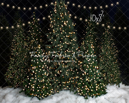 Snowy Christmas At The Barn 2pc Room